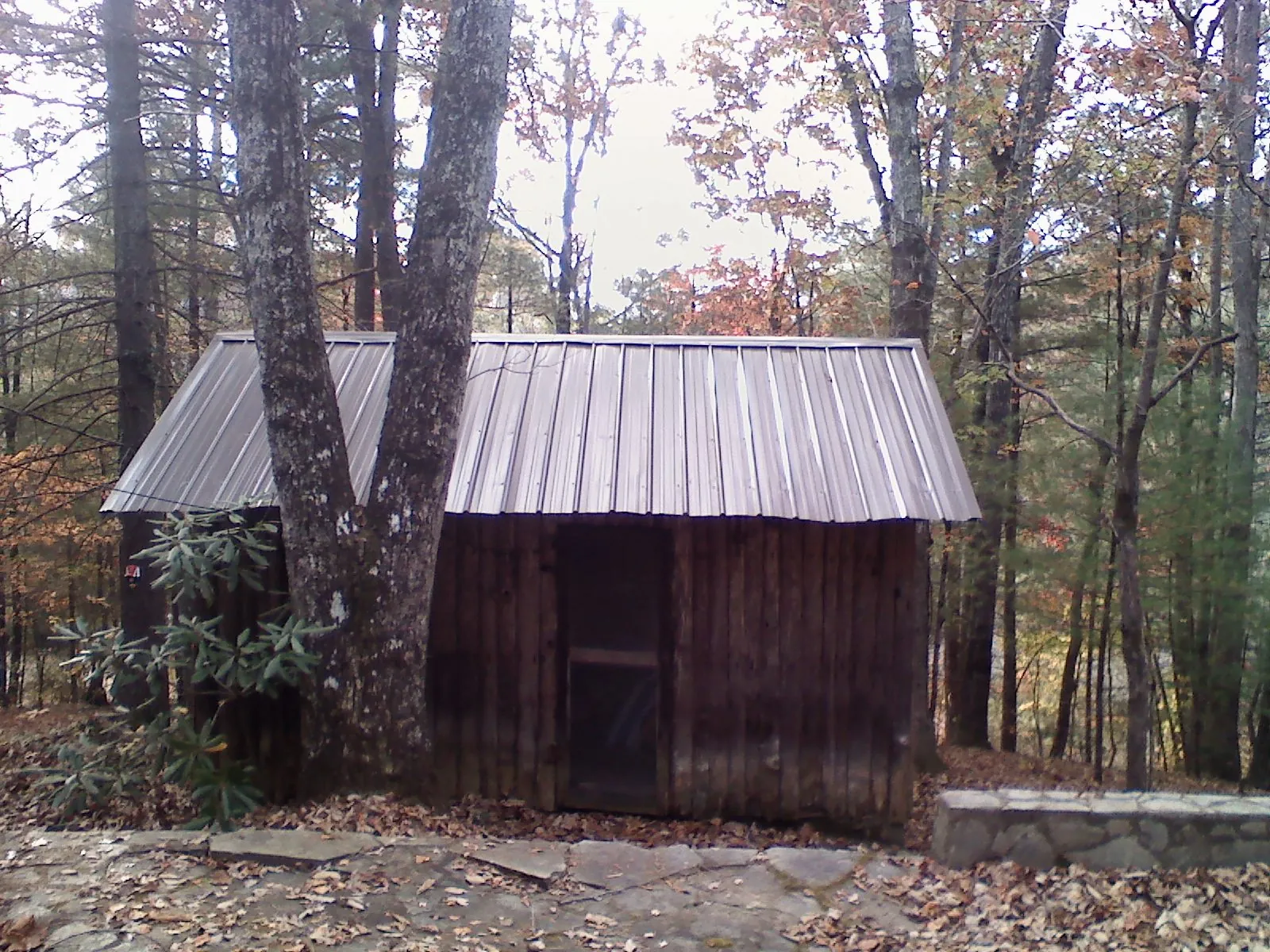 New metal gable roof on a small log shed among the trees in Auburn